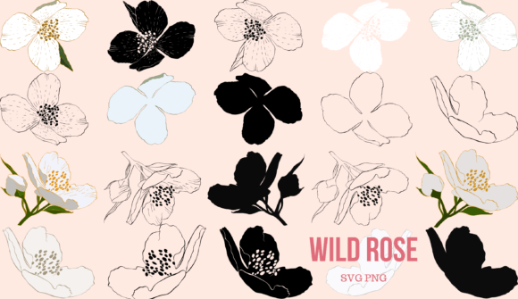 Wild Rose: A Thoughtful Embroidery Design Review